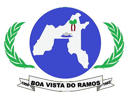 Aluguel de Caçamba em Boa Vista do Ramos